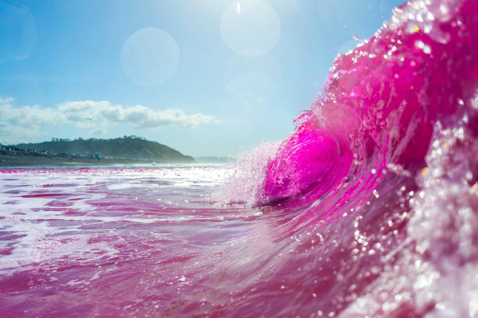 Pink-dyed waves that are part of UC San Diego’s Scripps Institution of Oceanography and the University of Washington's Plumes in Nearshore Conditions study. The research will allow the team to look at how small freshwater outflows interact with the surf zone.