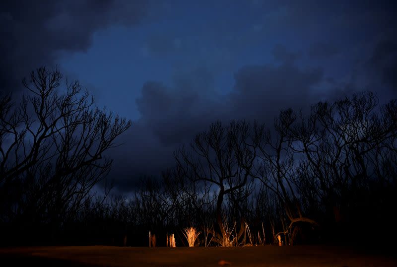 Bushfires in Kangaroo Island, Australia