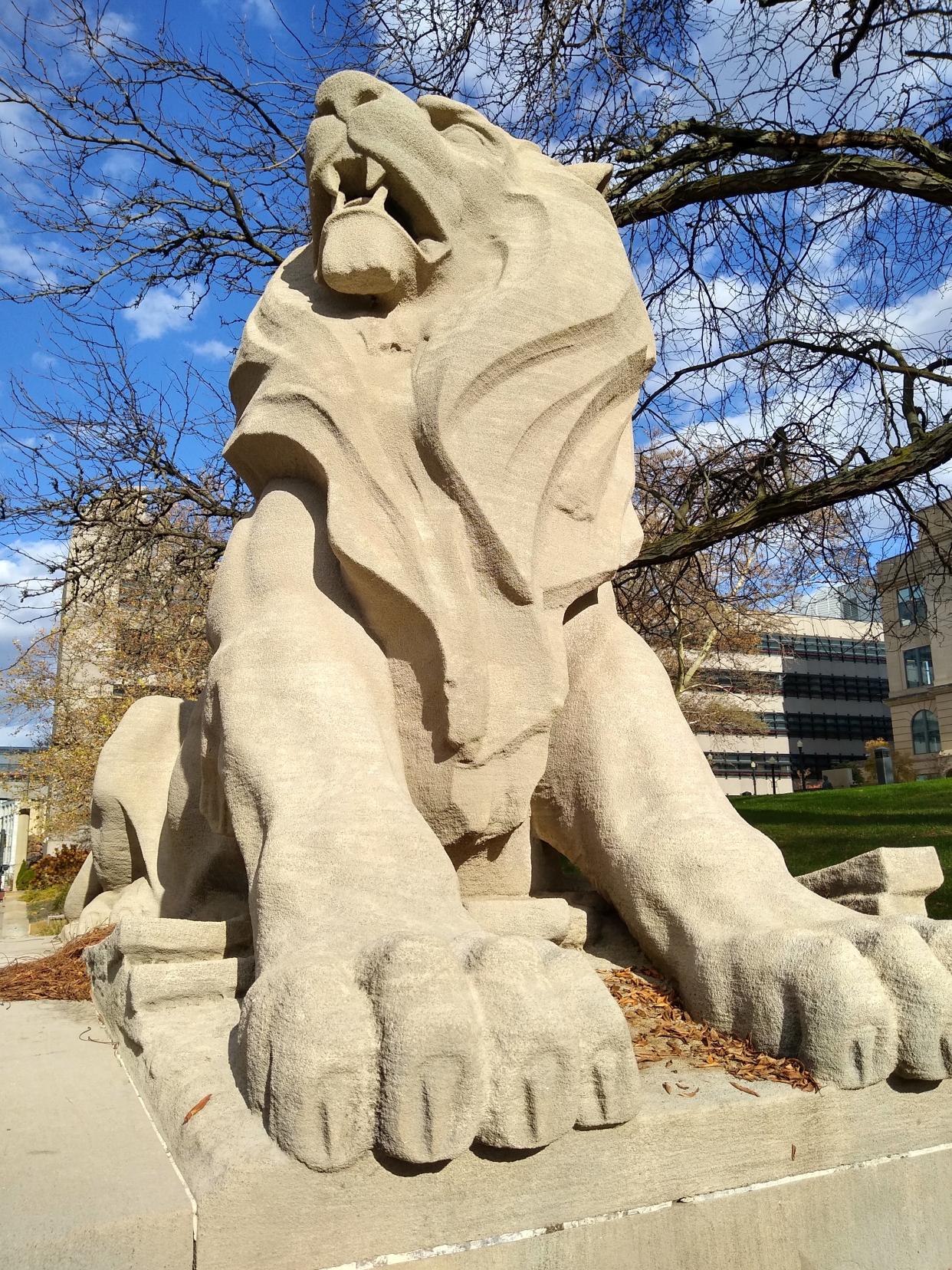 One of the lion statues outside the Summit County Courthouse roars with delight after getting a good cleaning on South High Street in downtown Akron.