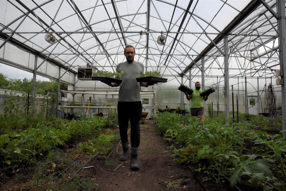 Zach Olson, a volunteer with the Leila Arboretum Society, and farm manager Gary Wiegand carry plants inside the Leila Arboretum hoop house on Thursday, June 2, 2022 in Battle Creek, Mich.