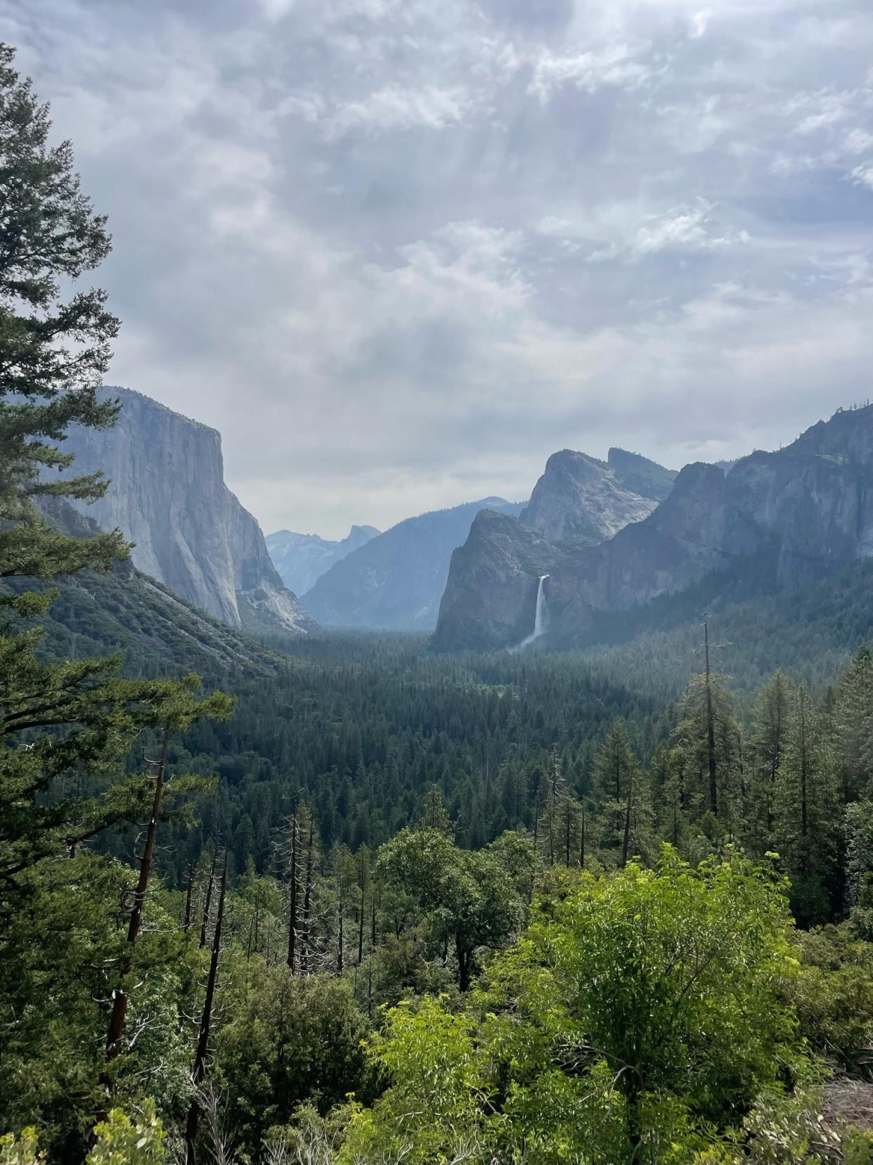 Bridalveil Fall flows year-round but is flowing particularly powerfully this year.