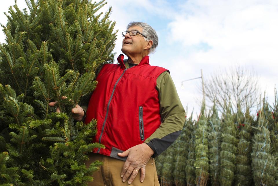 In this 2014 photo, Tommy Thompson admires one of the trees for sale on his lot, a family tradition since the late 1950s. 
By Matt Stone/The C-J