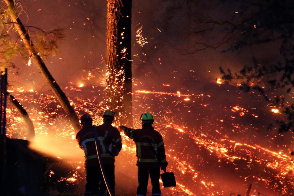 Firefighters battled a large fire at Chiberta forest in Anglet, southwestern France on Thursday: AP