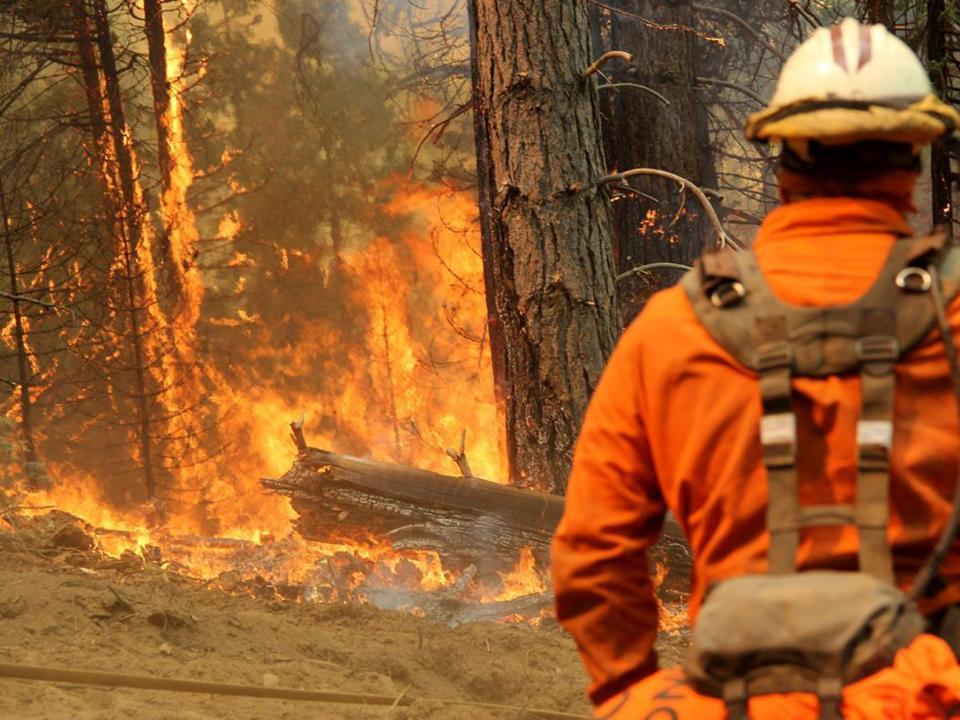 California firefighters are attempting to gain control over multiple wildfires raging across the state (Rex)