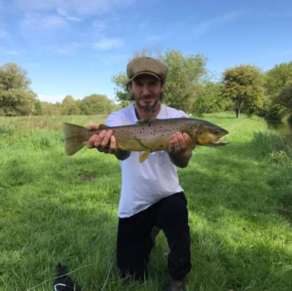 Fishy business: David Backham has taken up the hobby (David Beckham)