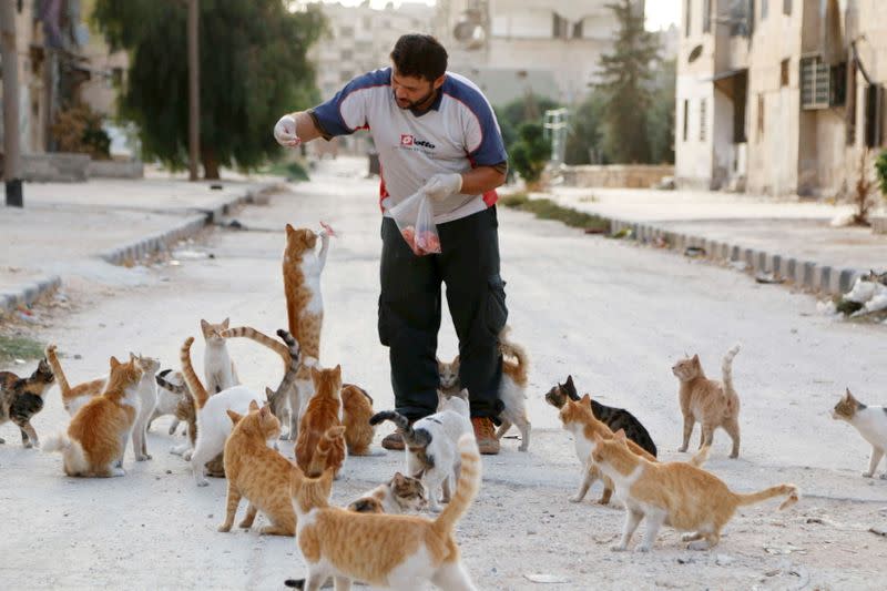 FILE PHOTO: Alaa, an ambulance driver, feeds cats in Masaken Hanano in Aleppo