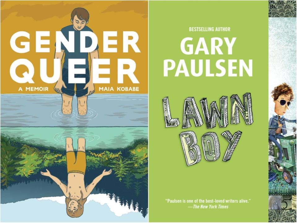 covers of the books gender queer and lawn boy