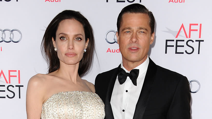 <p>Angelina Jolie and Brad Pitt's arguments are 'absurd'</p>