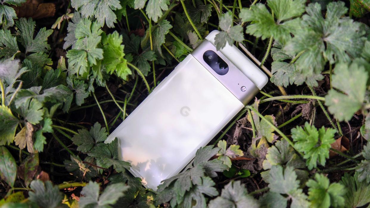  The Pixel 7 in a green bush 