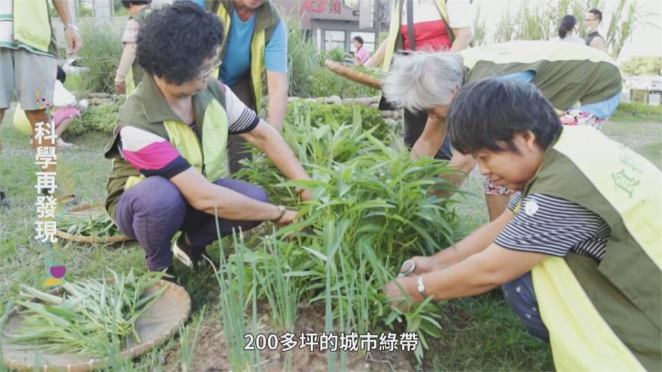 蘇丹紅風波延燒　專家：有正確觀念　加工食健康吃