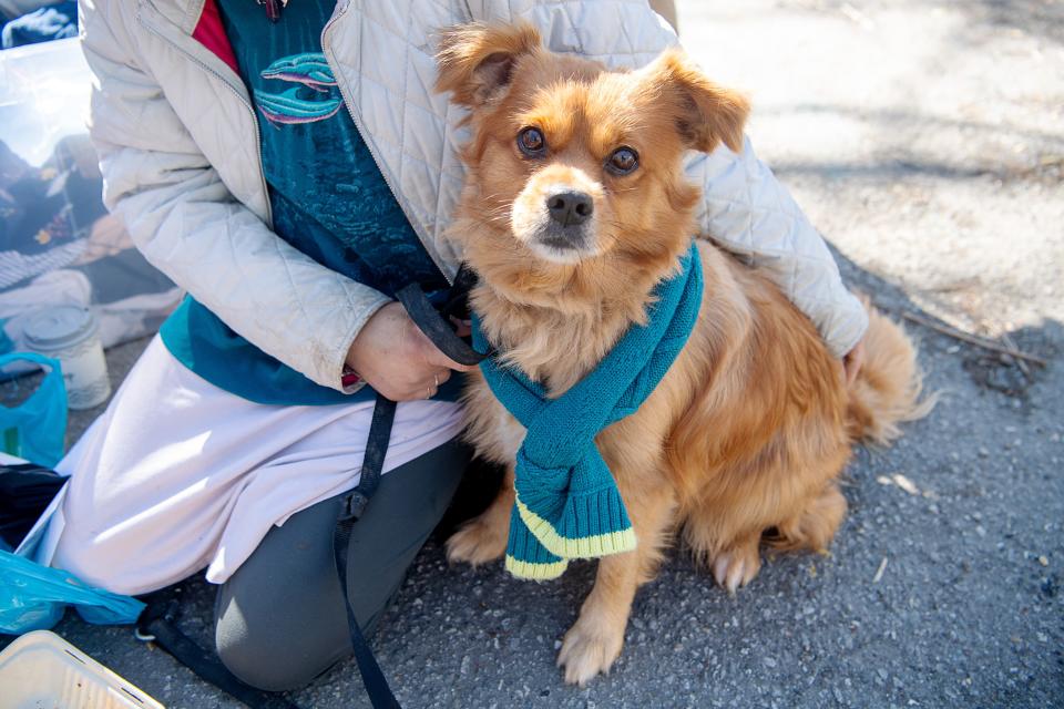 Sketch sits with his owner at ABCCM while The Street Dog Coalition hosts a free clinic, April 13, 2024.