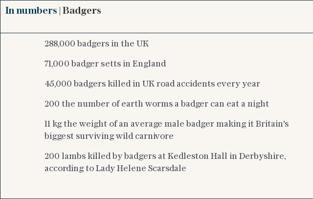 In numbers | Badgers