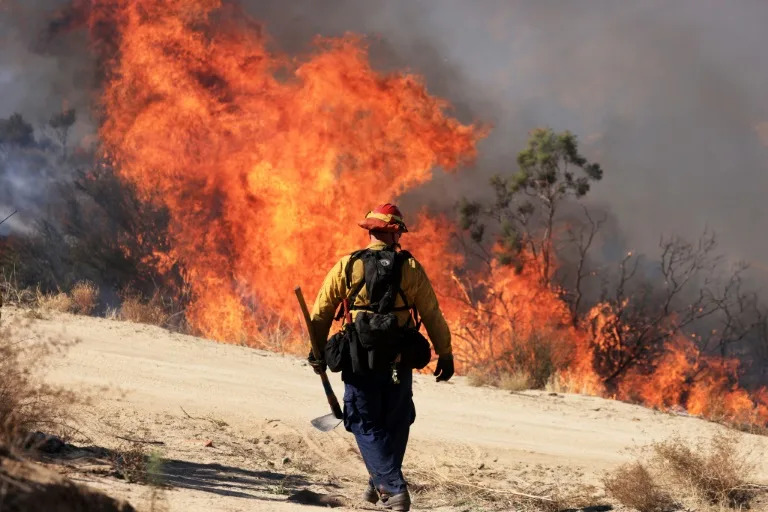 Scientists have warned that the number of heat-related deaths will sore in the coming decades if the world does not decrease its carbon emissions (DAVID SWANSON)