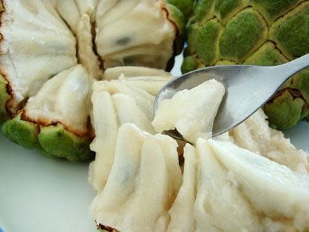 台東》最具代表、獨一無二的水果『台東釋迦』『鳳梨釋迦』量產上市