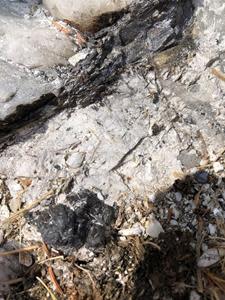 Black Nb-Ta-oxide minerals up to 5 cm in diameter, sample 889654, Parks Lake.