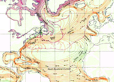 The Sargasso Sea in the North Atlantic is bounded by the Gulf Stream to the west, the North Atlantic Current to the north, the Canary Current to the east, and the North Equatorial Current to the south. <a href="https://en.wikipedia.org/wiki/Sargasso_Sea#/media/File:North_Atlantic_Gyre.png" rel="nofollow noopener" target="_blank" data-ylk="slk:Jack/Wikipedia;elm:context_link;itc:0;sec:content-canvas" class="link ">Jack/Wikipedia</a>