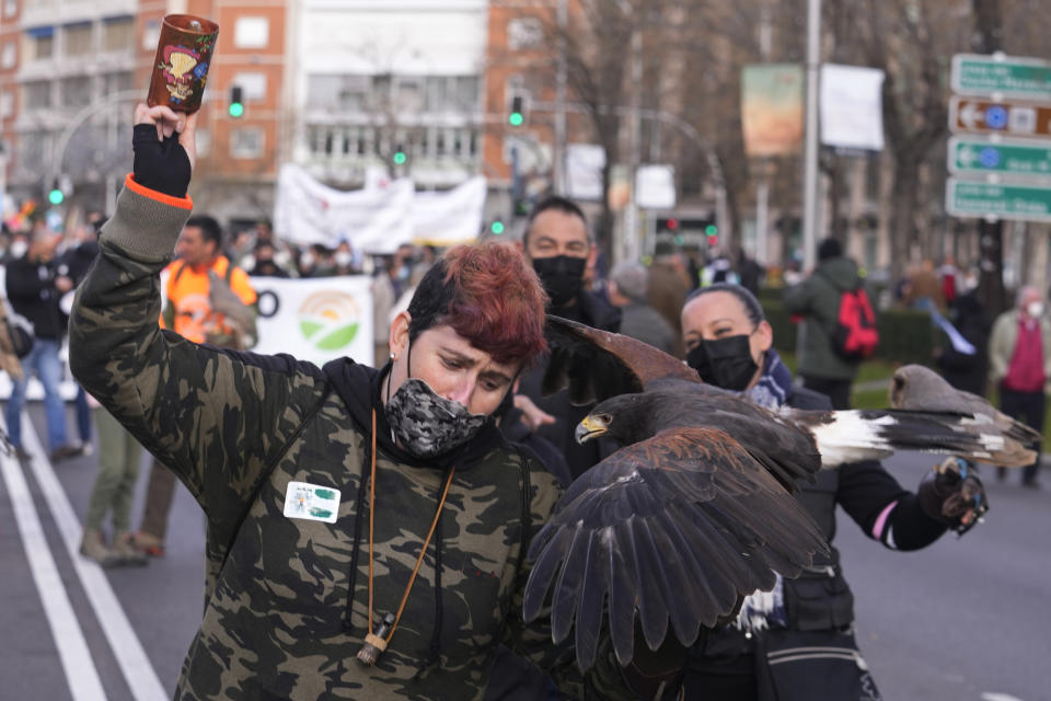 A woman dances with a hunting bird while during a protest march along the Castellana Boulevard in Madrid, Spain, Sunday, Jan. 23, 2022, defending Spanish rural areas. Members of rural communities are demanding solutions from the government for problems and crisis in the rural sector. (AP Photo/Paul White)