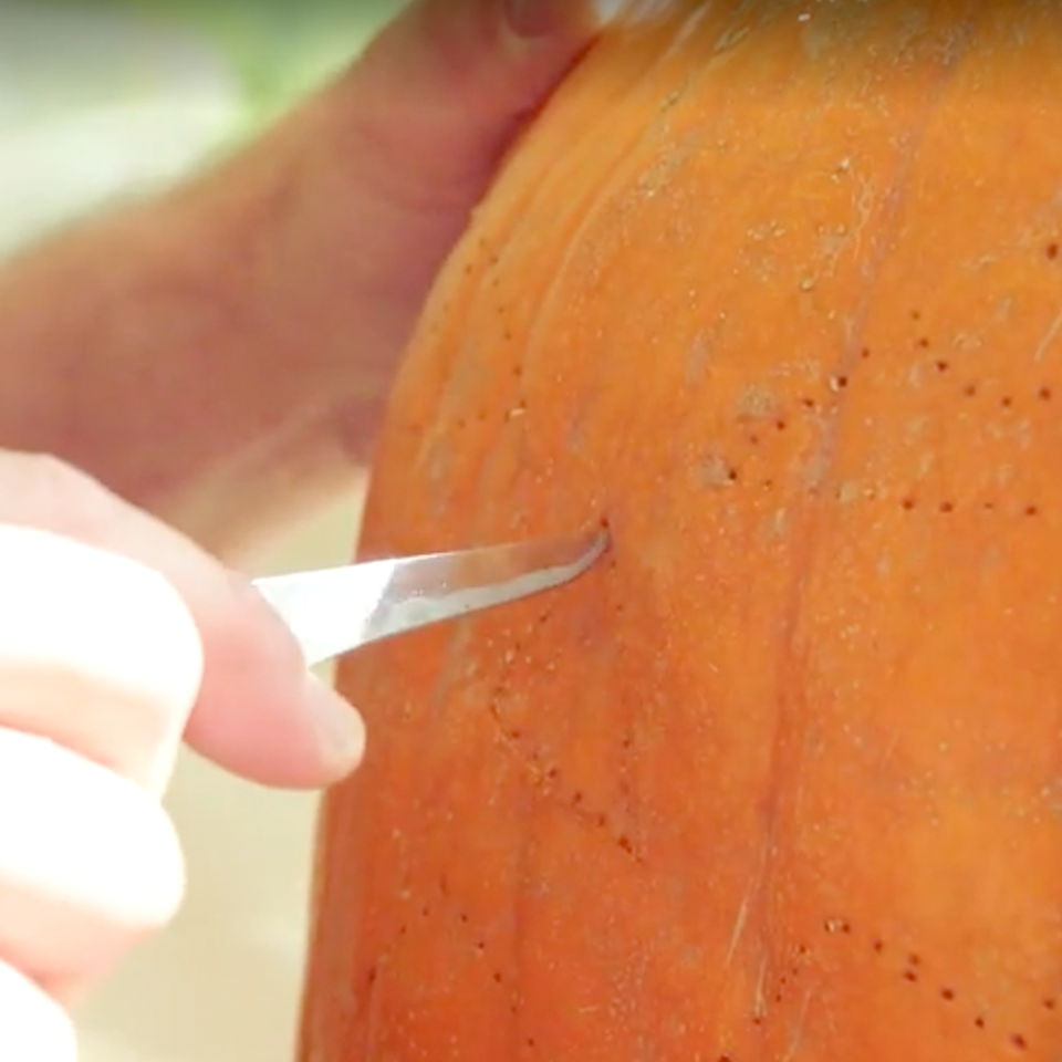 how to carve a pumpkin