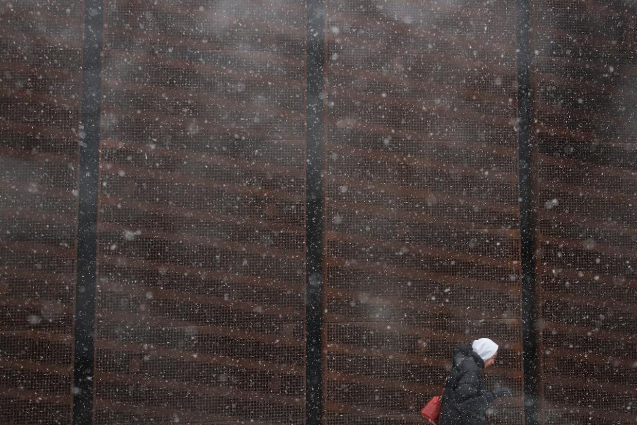A pedestrian walks through snowfall in downtown Toronto on Jan. 23, 2024. (Evan Mitsui/CBC - image credit)