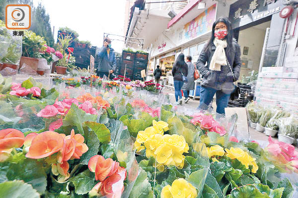 有花店門外擺放年花，吸引市民選購。（何天成攝）