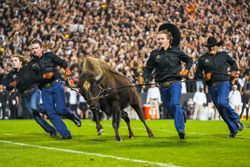 Ralphie the buffalo runs the field with handlers before a college football game between Colorado State and Colorado at Folsom Field on Saturday, Sep. 16, 2023, in Boulder, Colo.