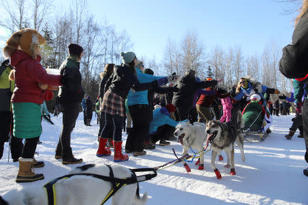 Musher Larry Daugherty passes through the raucous "trailgate" party along the ceremonial start trail in the Iditarod, a nearly 1,000-mile (1,610-km) sled dog race across the Alaskan wilderness, in Anchorage, Alaska, U.S. March 4, 2017. REUTERS/Nathaniel Wilder