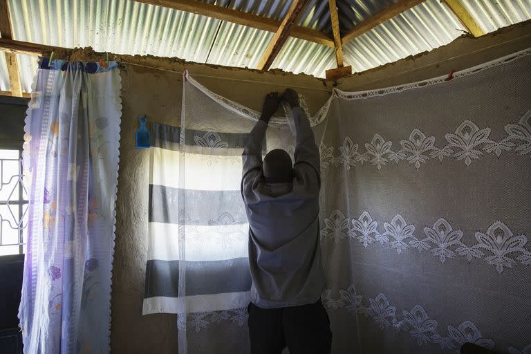 El agente sanitario comunitario Simon Omugogo cuelga paneles repelentes espaciales en una casa en Busia