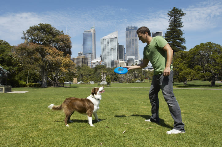 <p>Repleto de parques y playas amigables con las mascotas, en donde podrías dejar a tu mascota sin correa, este país incluso tendría una tendencia en alza: ¡llevarlo a la oficina a trabajar contigo! Eso sí, para otros lugares públicos habría bastantes restricciones. Foto: Kane Skennar / Getty Images </p>