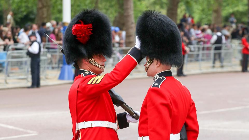 A member of the Coldstream Guards with their red plume