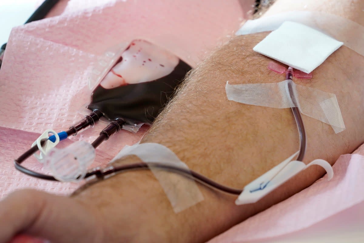 Blood Donations Gay Men (Copyright 2022 The Associated Press. All rights reserved.)