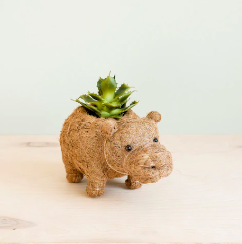 Likha Baby Hippo Plant Pot