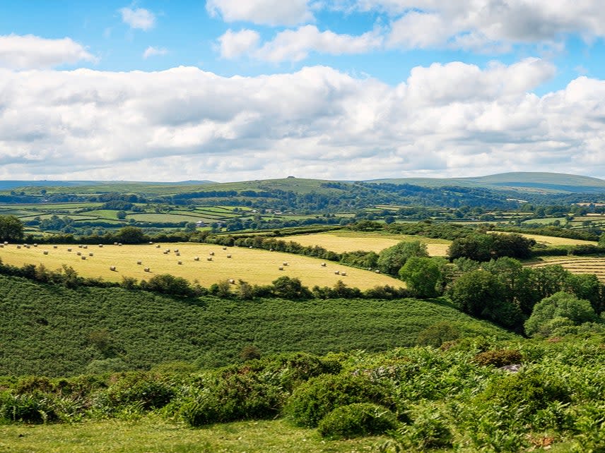 Boris Johnson to pledge to protect 30% of the UK's land by 2030 in bid to tackle the climate crisis (Getty Images)