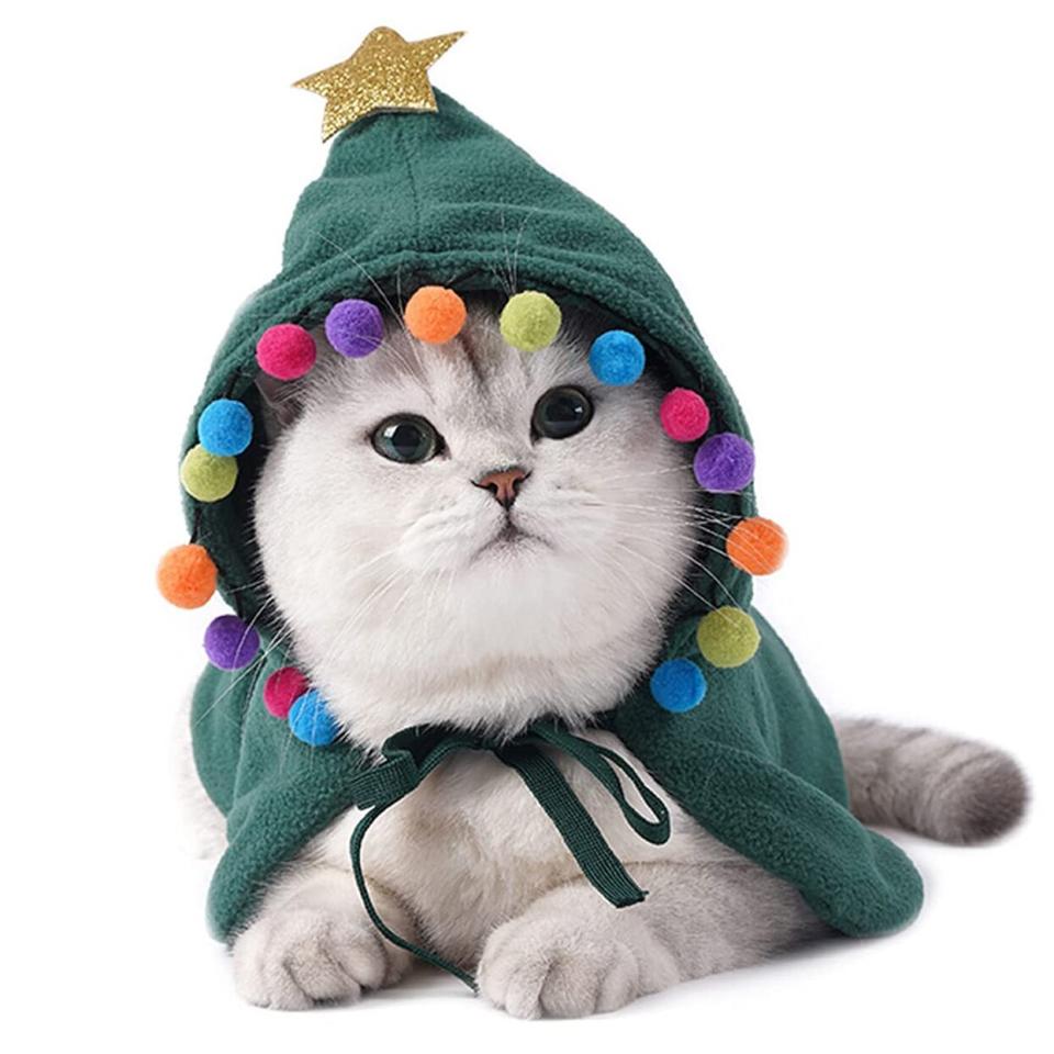 Cat wearing a Costume Christmas Headwear Accessory