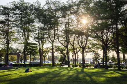 美術園道大樹成蔭，園道兩旁異國美食多。(圖:業者提供)