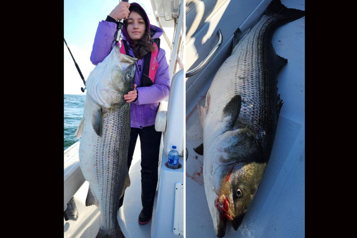 Thirteen-Year-Old Angler's Massive Striped Bass is a New 'Junior World Record' photo