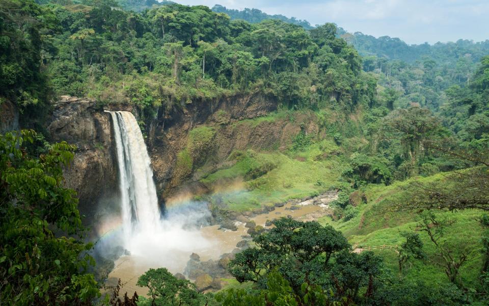 Ekom-Nkam Falls is known as 'Tarzan's waterfall' - GETTY