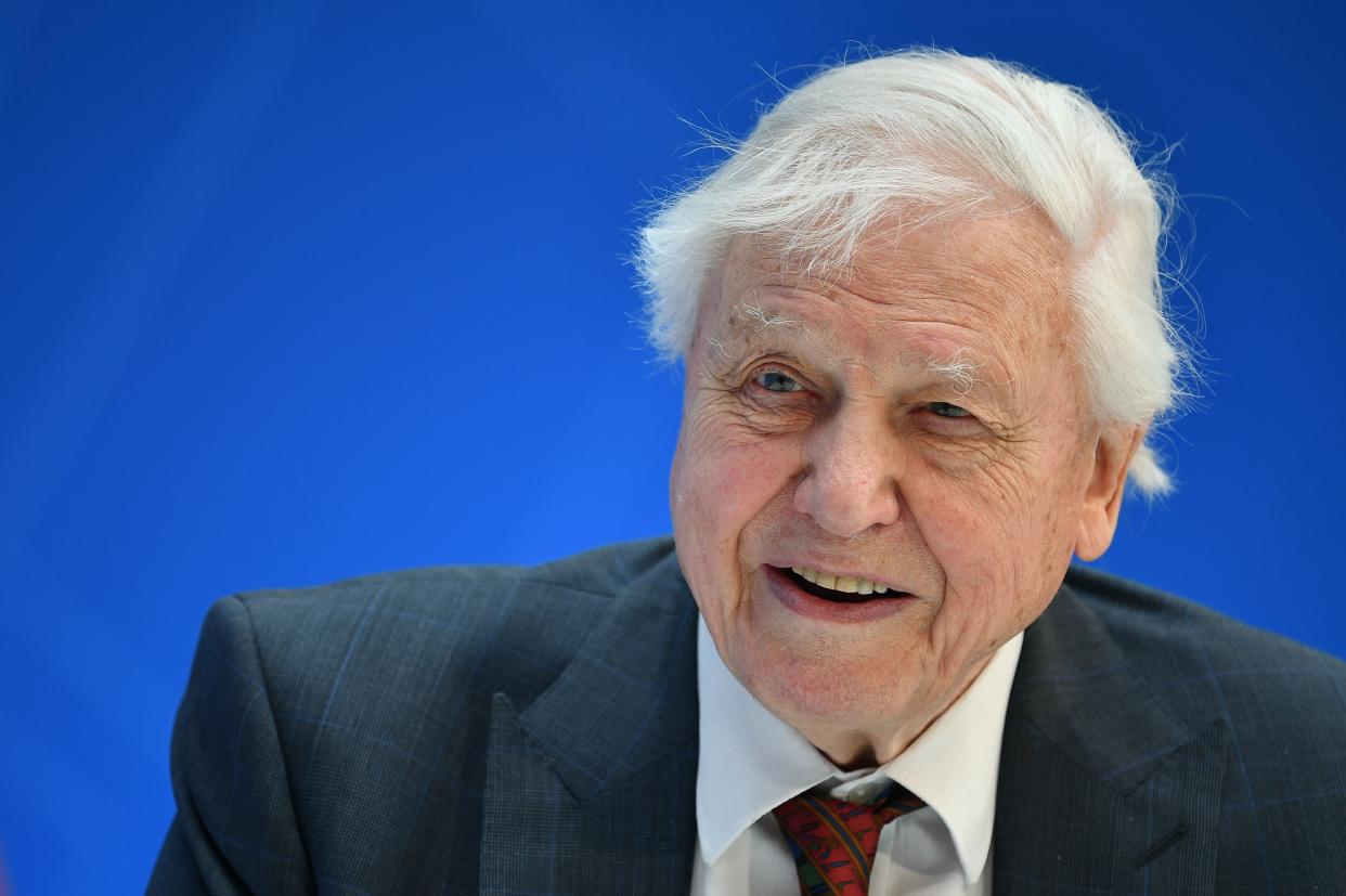 Broadcaster and naturalist David Attenborough and IMF Managing Director Christine Lagarde (out of frame) take part in a discussion on nature and the economy during the IMF - World Bank Spring Meetings at International Monetary Fund Headquarters in Washington, DC, April 11, 2019. (Photo by MANDEL NGAN / AFP)        (Photo credit should read MANDEL NGAN/AFP/Getty Images)