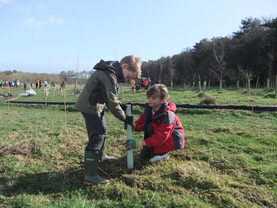 Children from Western Primary School in Harrogate planting trees in Rotary Wood in March, 2011Neil Hind