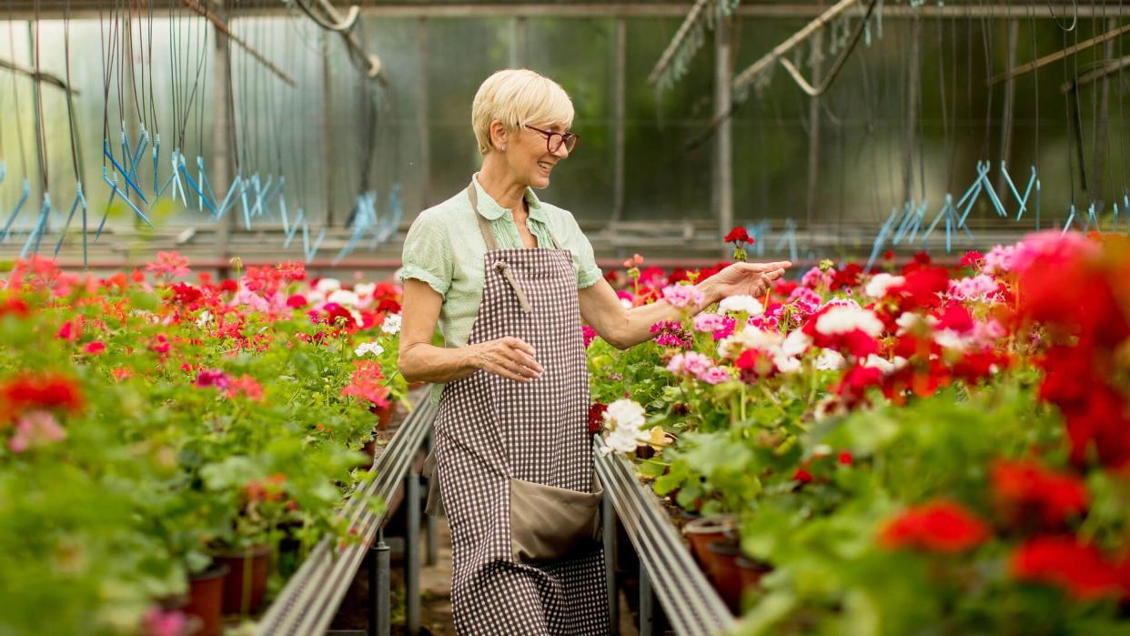 Portrait of senior woman working in flower garden.