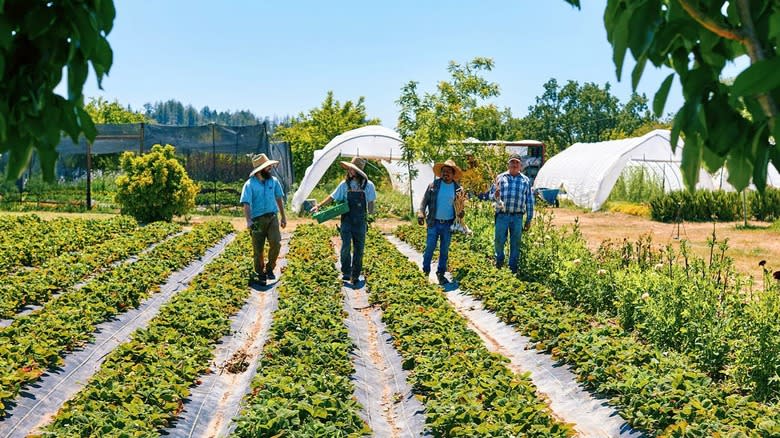 SingleThread farm and workers