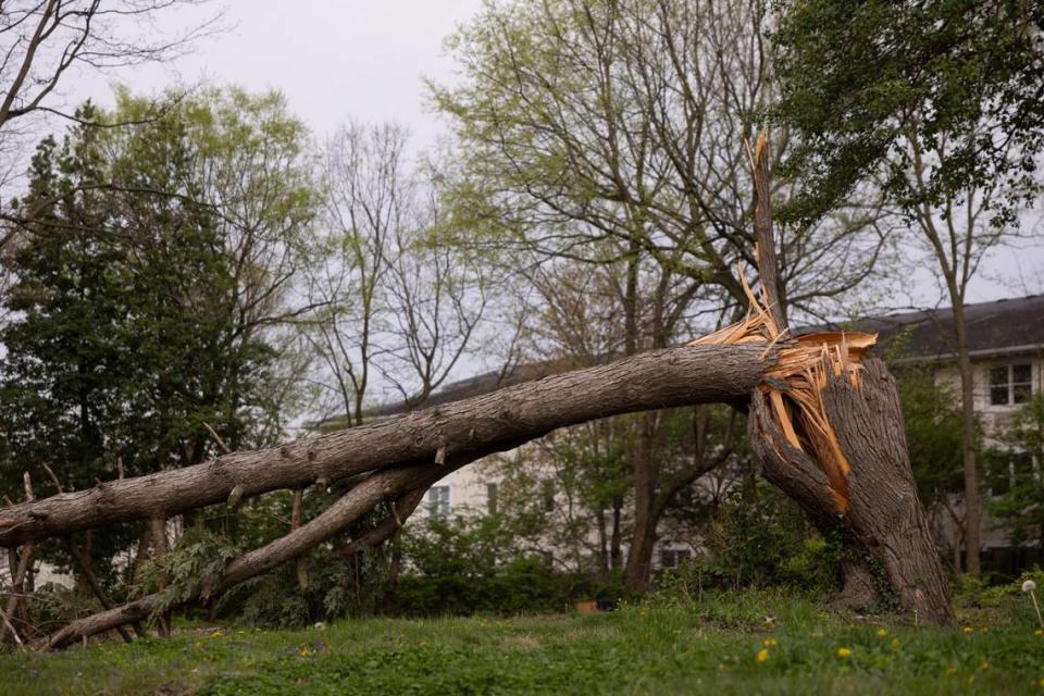 Storm damage near the University of Kentucky camps in Lexington, Ky, Tuesday, April 2, 2023. Silas Walker/swalker@herald-leader.com