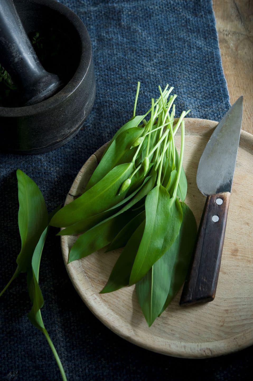 wild garlic