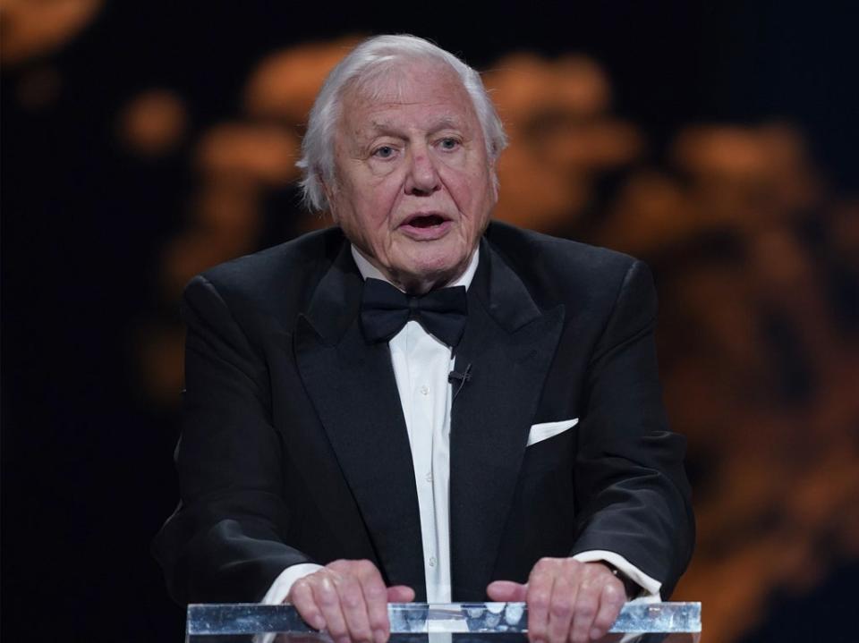 David Attenborough on stage at the awards ceremony (Getty Images)