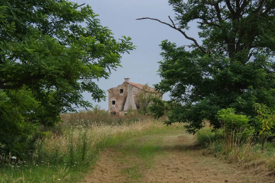 Los propietarios abrieron recientemente una granja en la isla para promover los productos locales. Cultivas frutas y verduas, como alcachofas o tomates. (Foto: <a href="http://www.airbnb.es/rooms/12110686?_set_bev_on_new_domain=1598534244_ZDg5N2M3ZWE3YzY1&source_impression_id=p3_1598534243_2QH3Zgm9E6HE3c5k" rel="nofollow noopener" target="_blank" data-ylk="slk:Airbnb;elm:context_link;itc:0;sec:content-canvas" class="link ">Airbnb</a>).