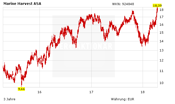 Marine Harvest: Deshalb sinkt der Aktienkurs