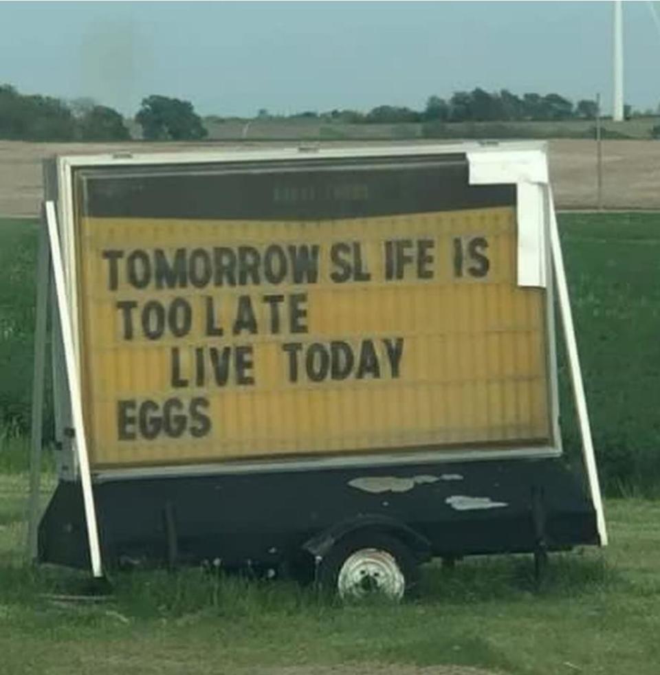 "Live today Eggs"