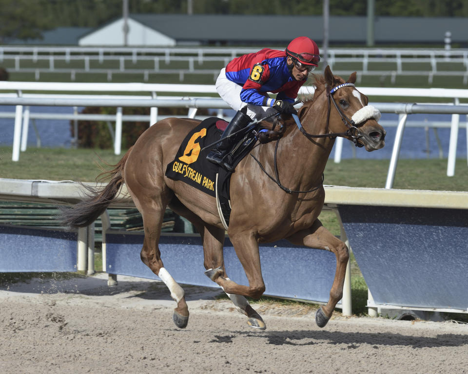 In this image provided by Gulfstream Park, Swiss Skydiver, ridden by Paco Lopez, wins the Gulfstream Park Oaks horse race at Gulfstream Park, Saturday, March 28, 2020, in Hallandale Beach, Fla. (Ryan Thompson/Coglianese Photos, Gulfstream Park via AP)