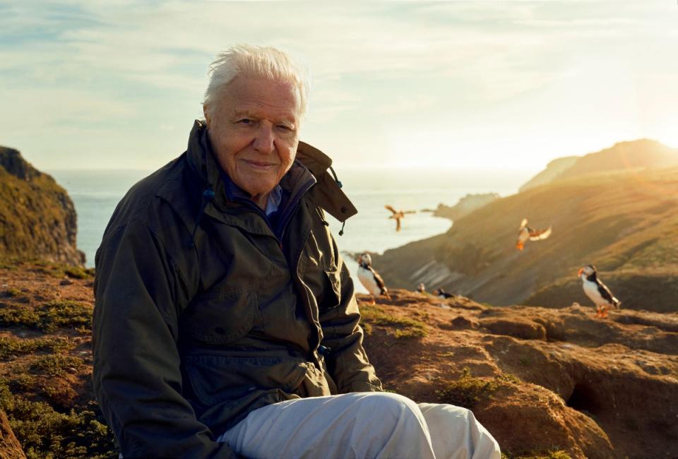 Nonagenarian David Attenborough presented ‘Wild Isles’ (BBC/Silverback Films/Alex Board)