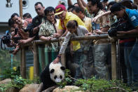 <p>A visitor touches one-year-old female giant panda cub Nuan Nuan inside her enclosure during joint birthday celebrations for the panda and its ten-year-old mother Liang Liang at the National Zoo in Kuala Lumpur on August 23, 2016. Giant pandas Liang Liang, aged 10, and her Malaysian-born cub Nuan Nuan, 1, were born on August 23, 2006 and August 18, 2015 respectivetly. (Mohd Rasfan/AFP/Getty Images)</p>