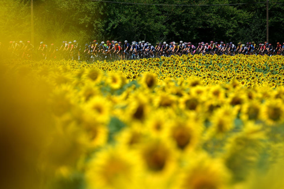 FIDENZA ITALY  JULY 03 A general view of the peloton passing through a flowery landscape prior to the 34th Giro dItalia Donne 2023 Stage 4 a 134km stage from Fidenza to Borgo Val di Toro  UCIWWT  on July 03 2023 in Fidenza Italy Photo by Dario BelingheriGetty Images